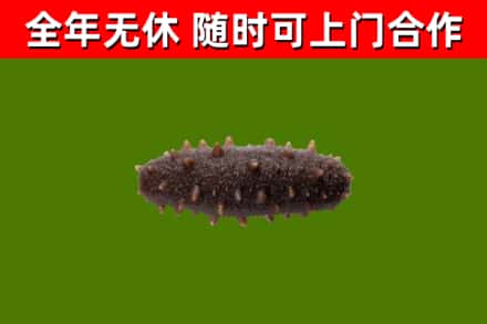 民乐县烟酒回收干海参.jpg